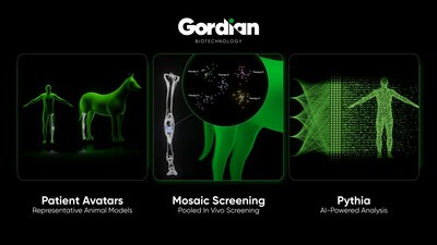 Gordian Biotechnology Introduces High-Throughput In Vivo Screening Platform to Discover Therapies and Better Predict Human Outcomes for Age-Related Diseases