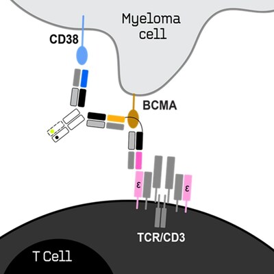 Ichnos Glenmark Innovation Presents Preclinical Data for its Oncology Asset ISB 2001 at AACR 2024 Annual Meeting