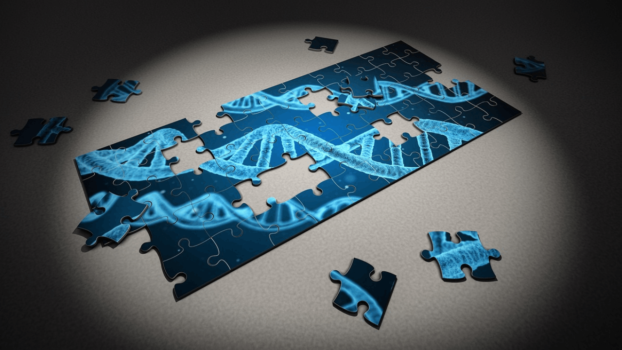 Conduit Pharmaceuticals Selects Initial Indications for Lead Clinical Candidate Targeting Autoimmune Disorders