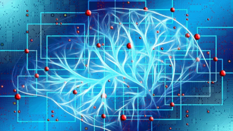 Analyses from Cognition’s Positive Phase 2 ‘SHINE’ Study of CT1812 in Mild-to-Moderate Alzheimer’s Disease will be Presented in a Podium Presentation at CTAD