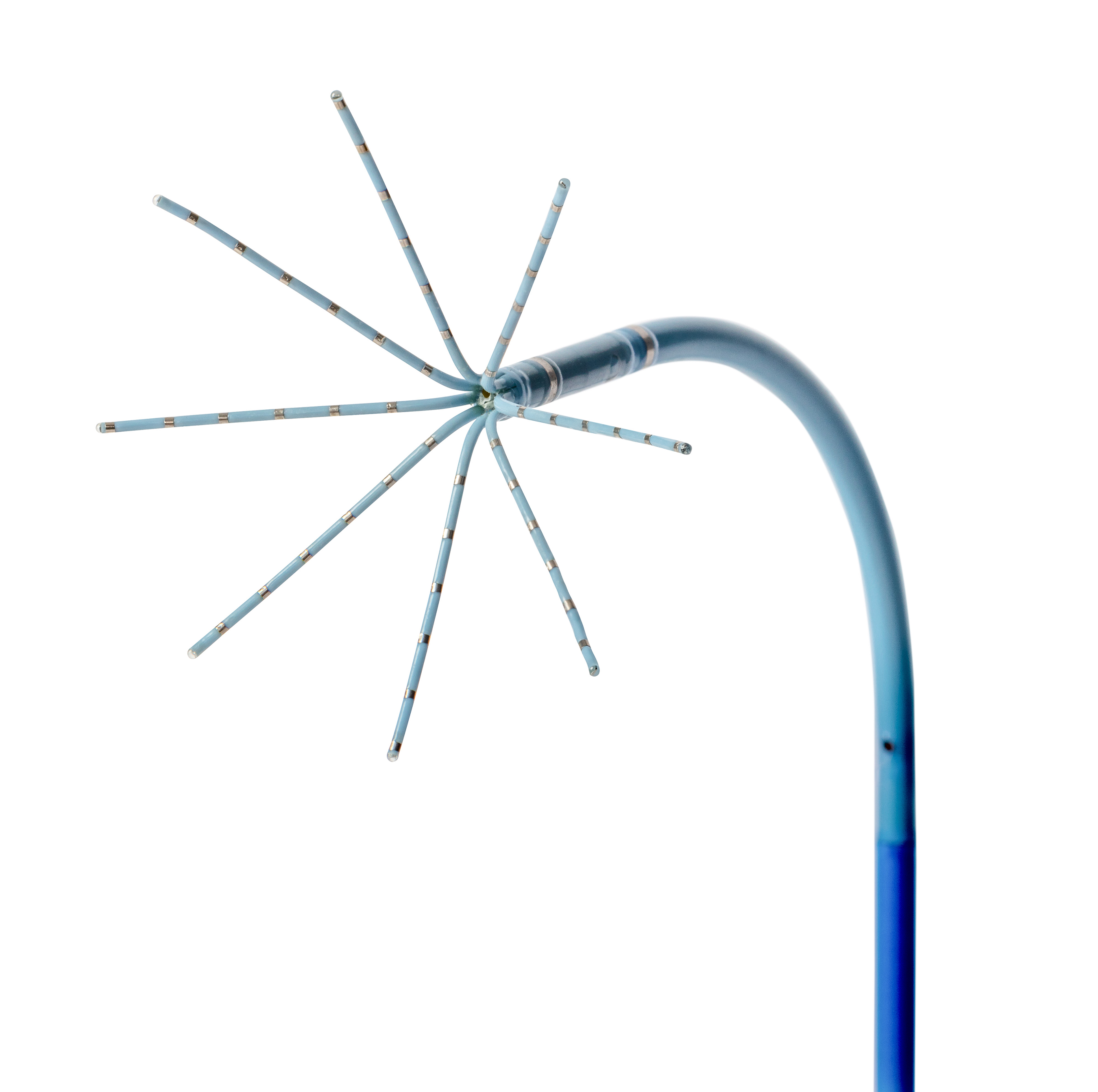 Biosense Webster Launches the OCTARAY™ Mapping Catheter with TRUEref™ Technology