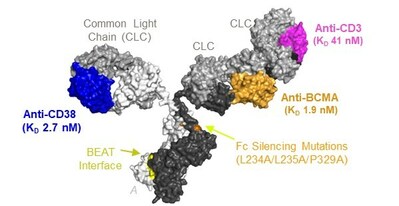 Ichnos Glenmark Innovation Presents Preclinical Data for its Oncology Asset ISB 2001 at AACR 2024 Annual Meeting