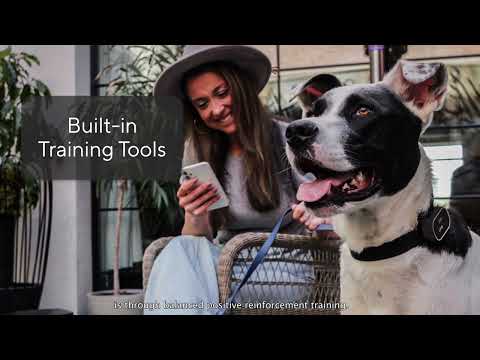 Link, the Smart Pet Wearable, announces exclusive animal health partnership with MWI/Amerisource Bergen