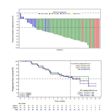 Qilu Pharmaceutical announces the latest results from its clinical study on QL1706, in combination with chemotherapy, as a first-line treatment for recurrent or metastatic cervical cancer