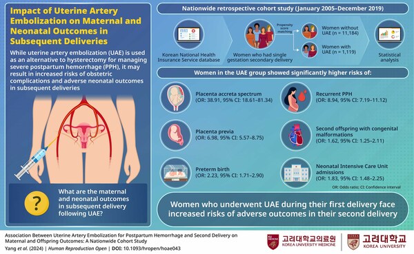 Korea University Study Reveals Potential Effects of Uterine Artery Embolization on Subsequent Deliveries