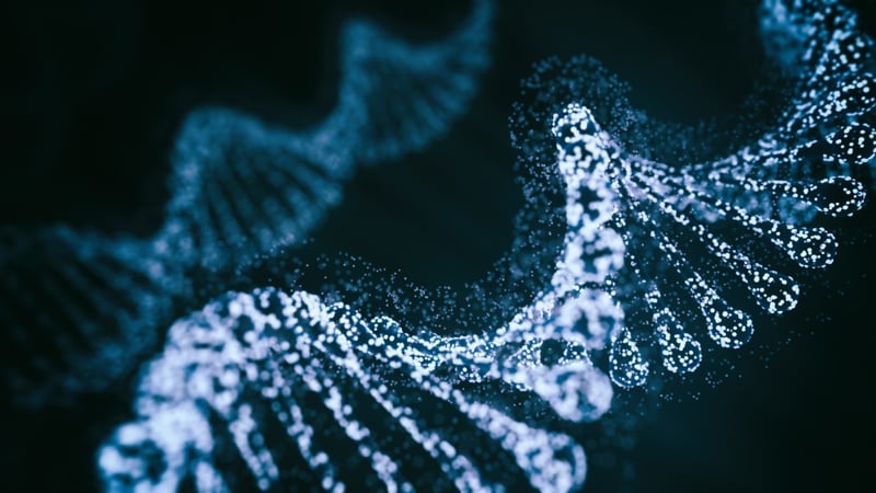 Humanity's guide to the human genome just got a major upgrade