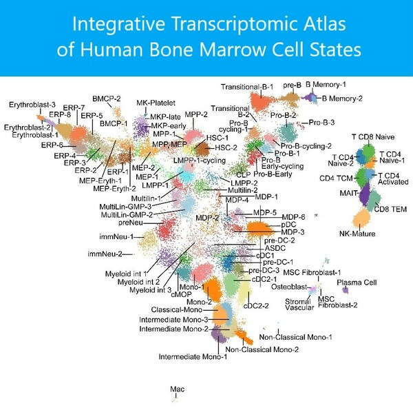 Advanced Map of Human Blood Stem Cells Could Guide Highly Targeted Leukemia Care