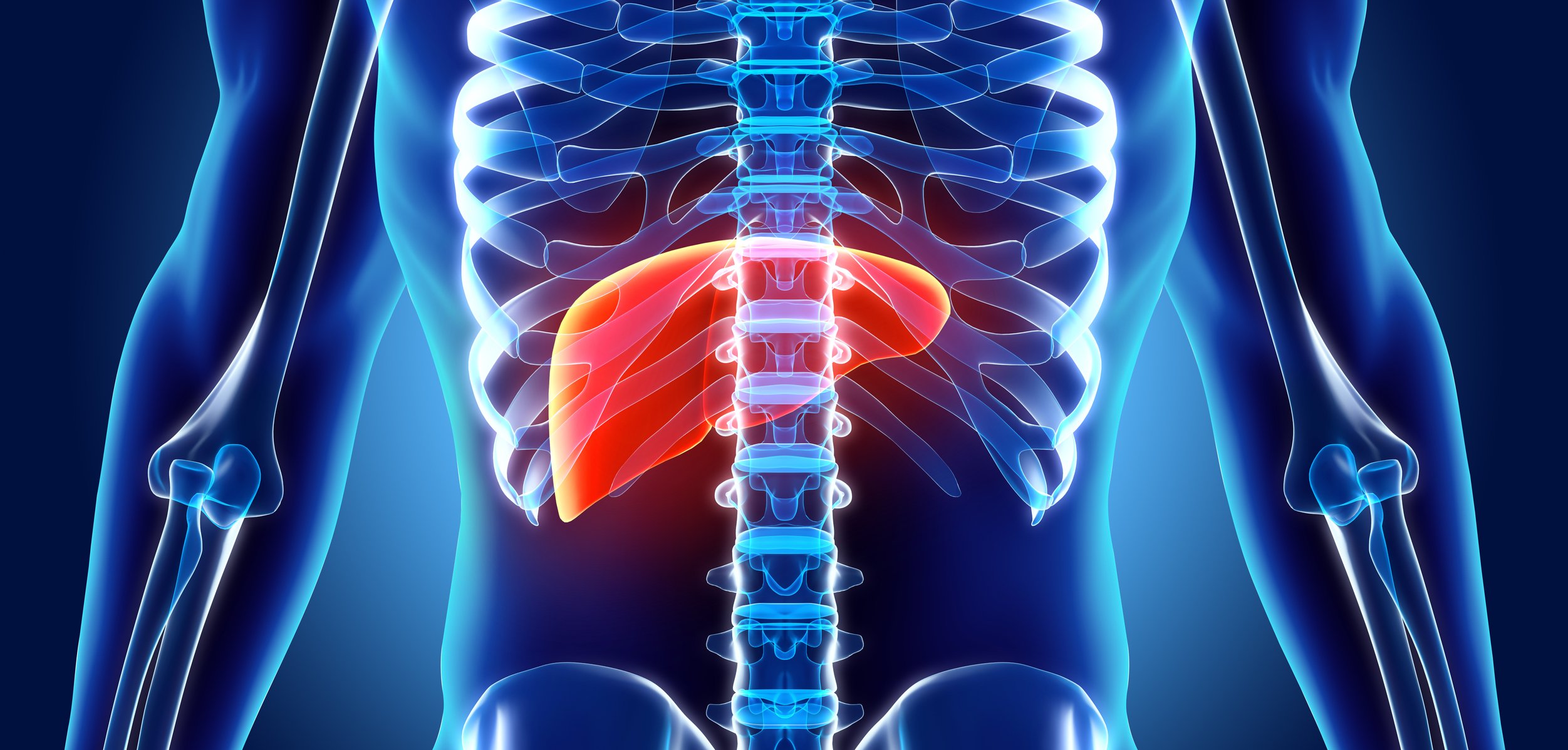 J&J leads $85M funding for HistoSonics' tumor-blasting ultrasound amid FDA review