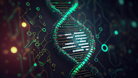 Hillstream Advances Next-Gen Multispecific Antibodies for Solid Tumors with Lead HER2/HER3 Program, HSB-3215