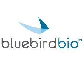 bluebird bio presents positive results for inherited blood disorder gene therapies