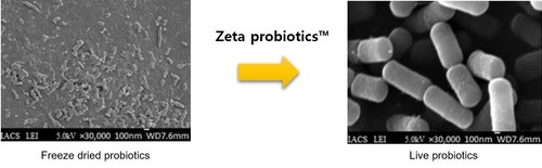 1000 times intestinal survival rate...COSMAX NBT commercializes 'Zeta Probiotics™' Technology