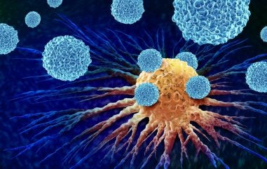Daiichi Sankyo and AstraZeneca’s lung cancer antibody set for FDA review