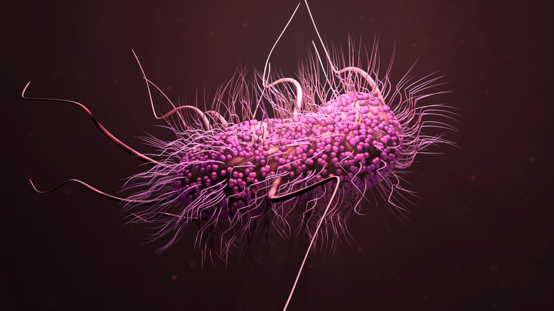 Small biotech turns CRISPR against bacteria, reducing E. coli in small early study