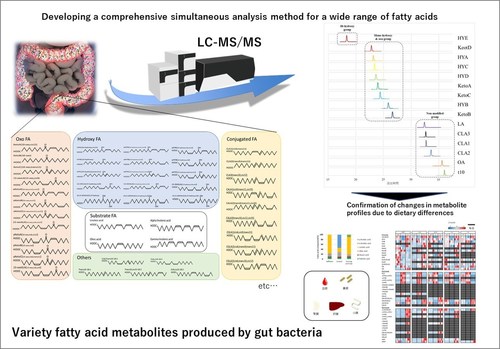 Noster Microbiome Research: Analyzing Bacterial Digest
