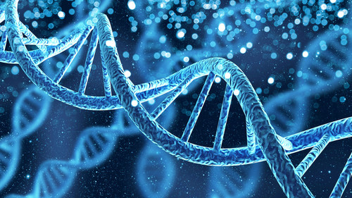 DTC genetics company Nucleus Genomics raises $18 million in funding in one year