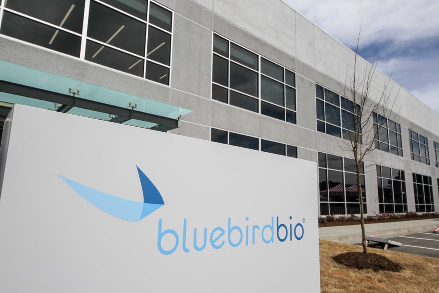 After missing out on FDA voucher, bluebird quickly raises funds to support gene therapy launches