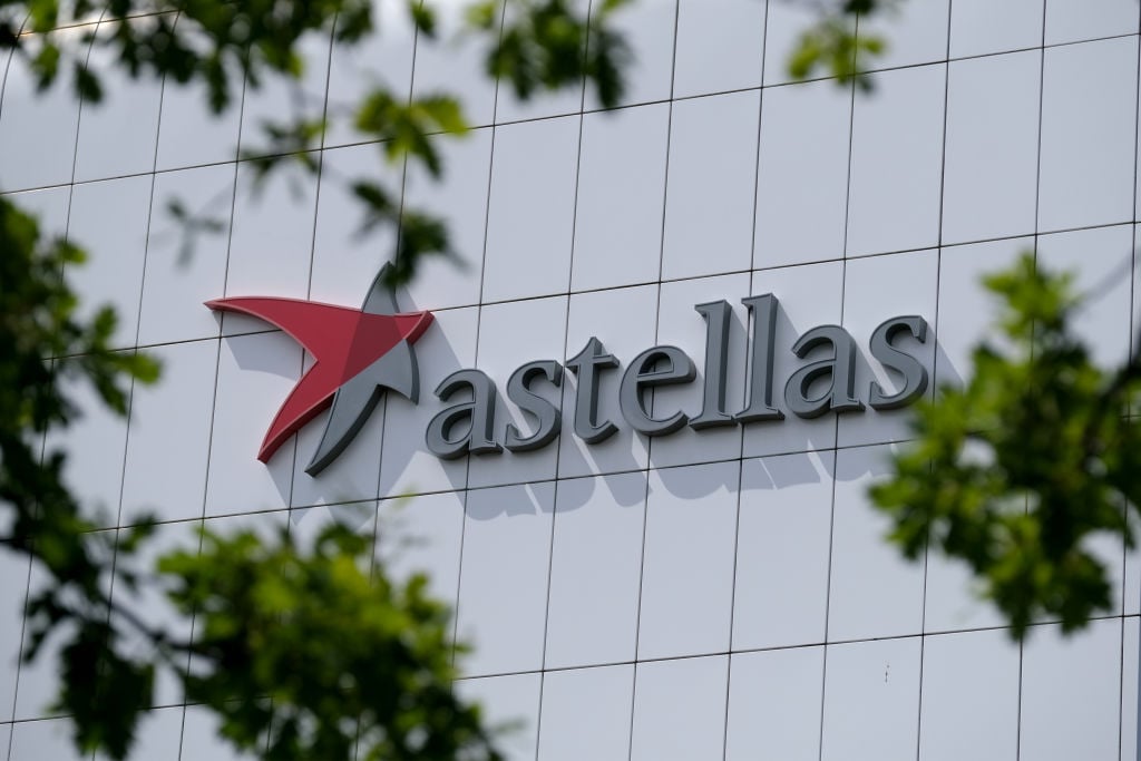 Astellas enjoys warm glow of success as antibody against hot cancer target hits again in phase 3