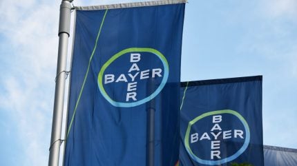 Bayer and Google Cloud to develop AI solutions for radiologists