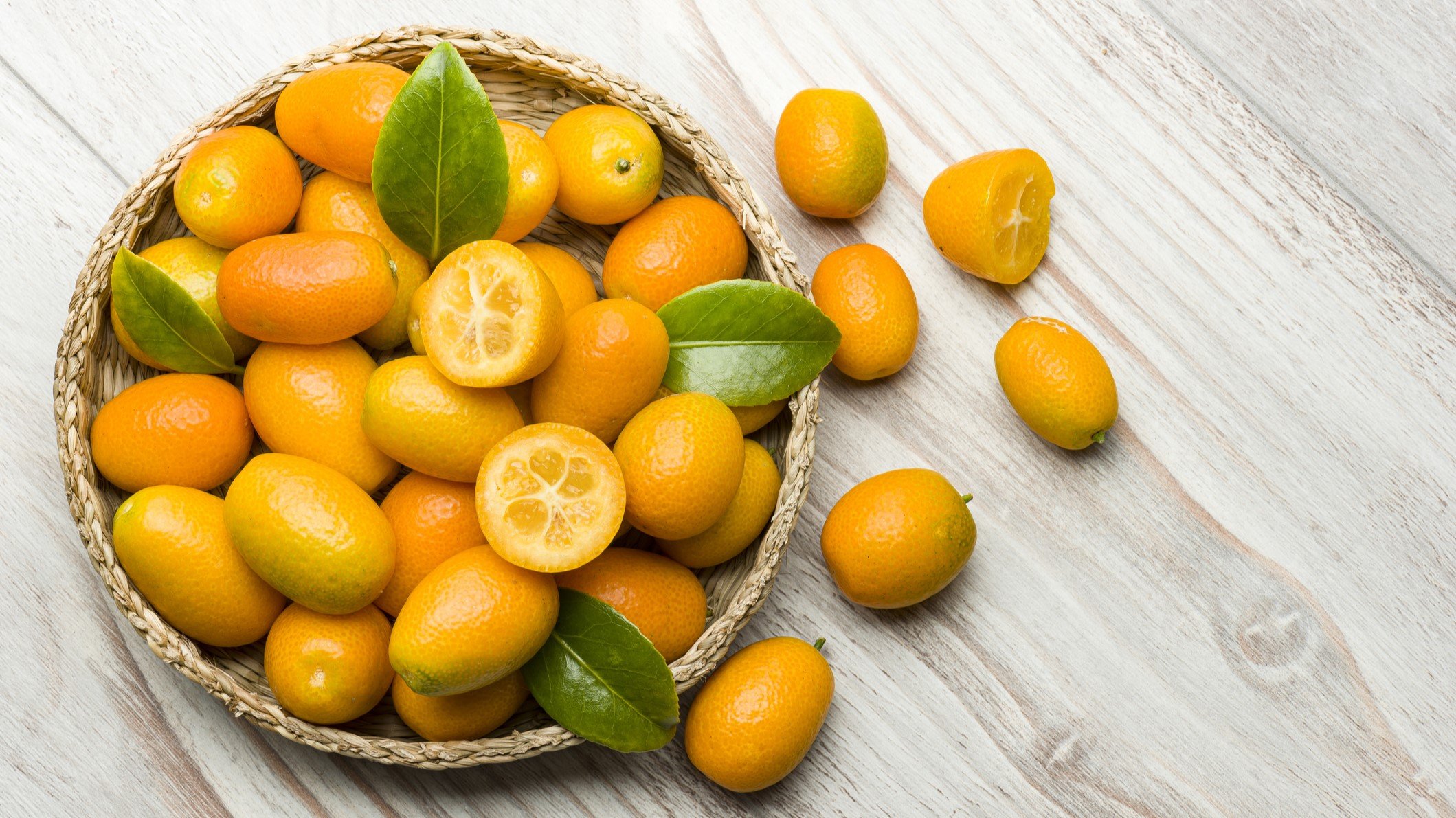 Kumquat Biosciences, Inc. Drug pipelines, Patents, Clinical trials