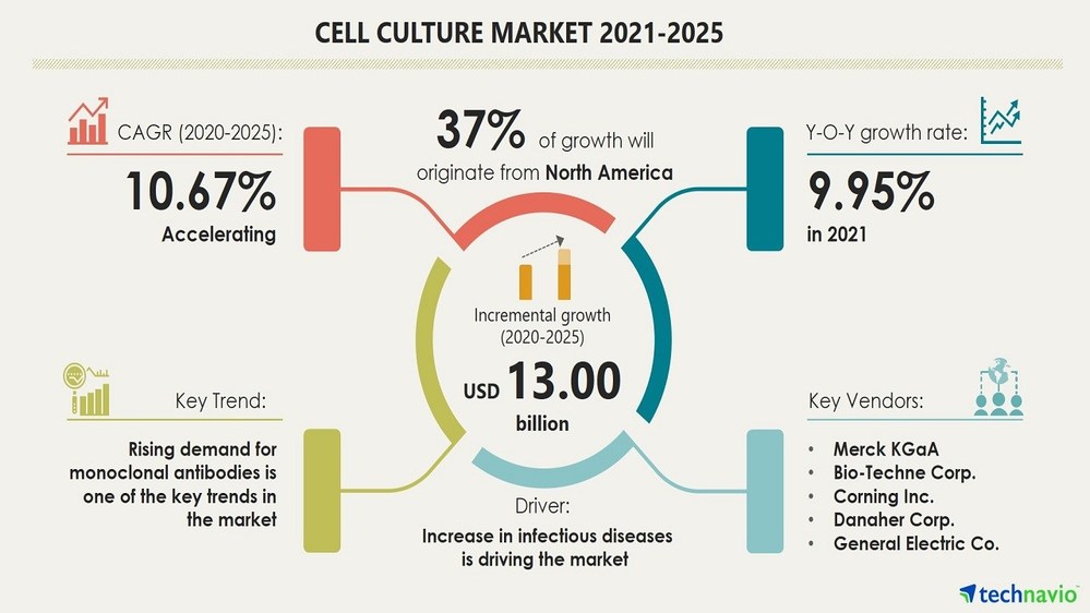 Cell Culture Market: USD 13.00 billion Growth from 2020 to 2025 | Established Vendors Acquiring Smaller Players to Enhance Global Reach | Technavio