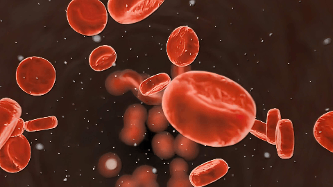 SELLAS Life Sciences Announces Positive Recommendation from REGAL Independent Data Monitoring Committee of Galinpepimut-S in Acute Myeloid Leukemia