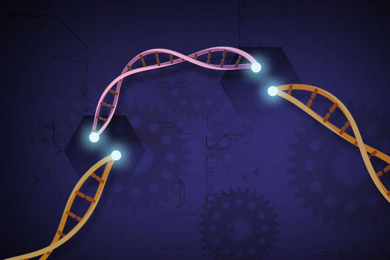 New CRISPR diagnostic player VedaBio emerges with $40M start