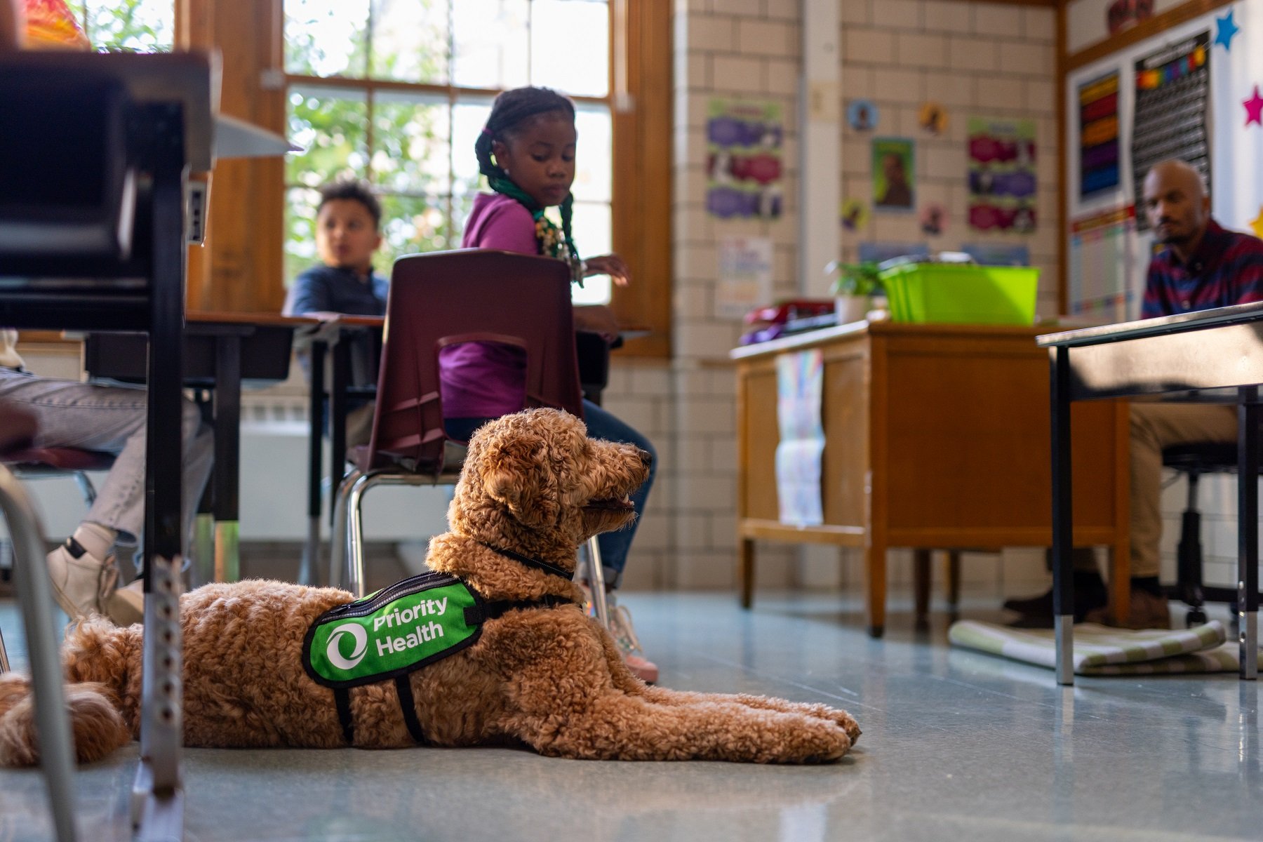 Priority Health launches program to back placement of service dogs in schools