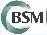 The BSM Consulting Group, Inc.