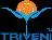 Triveni Global Private Limited