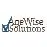 AgeWise Solutions LLC