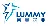Chongqing Lummy Pharmaceutical Co., Ltd.