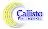 Callisto Pharmaceuticals, Inc.